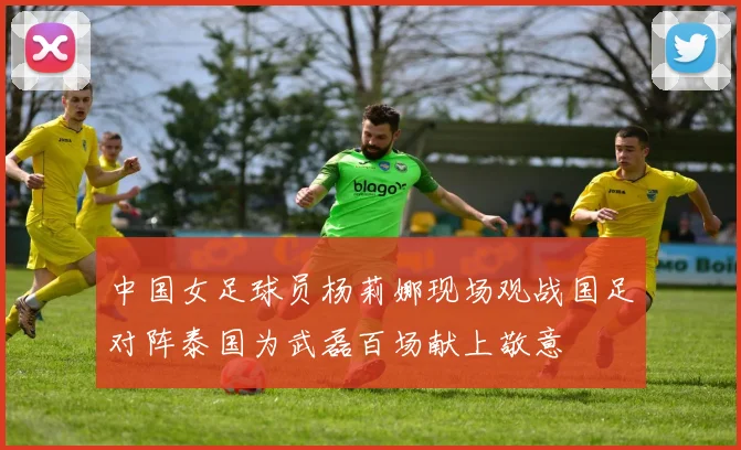 中国女足球员杨莉娜现场观战国足对阵泰国为武磊百场献上敬意